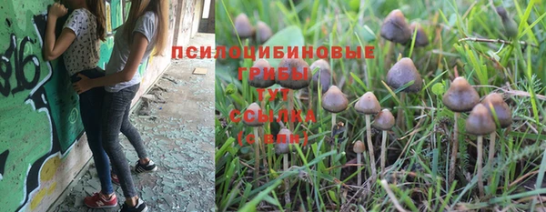 сатива Балабаново