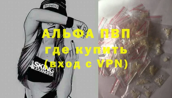 индика Зеленокумск