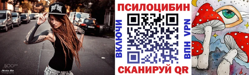 Псилоцибиновые грибы MAGIC MUSHROOMS  darknet наркотические препараты  Улан-Удэ 